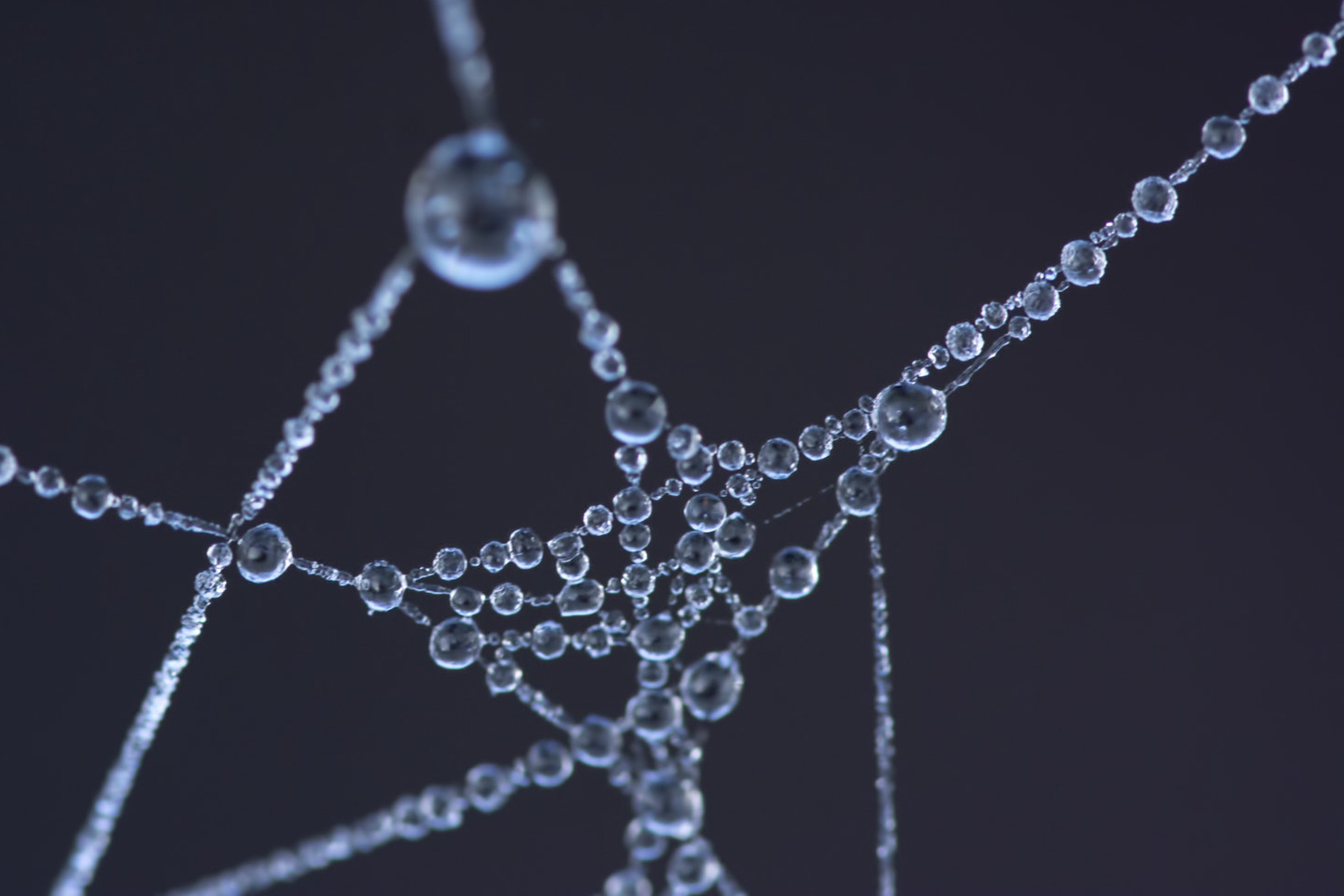 Formatting Elearning Documents Hop Skip And A Hyperlink Model