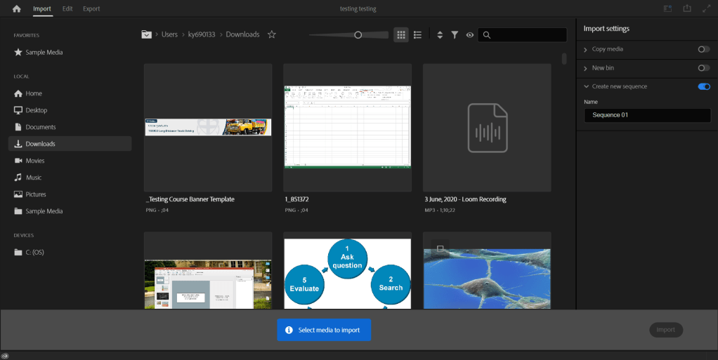 Adobe Premiere Pro import dialog window